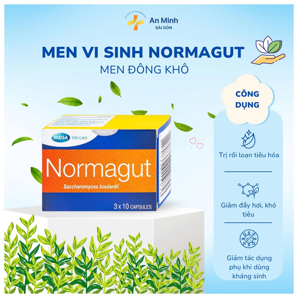 [CHÍNH HÃNG] Men vi sinh Normagut - Ổn định tiêu hóa (Hộp 30v) - MEGA WE CARE