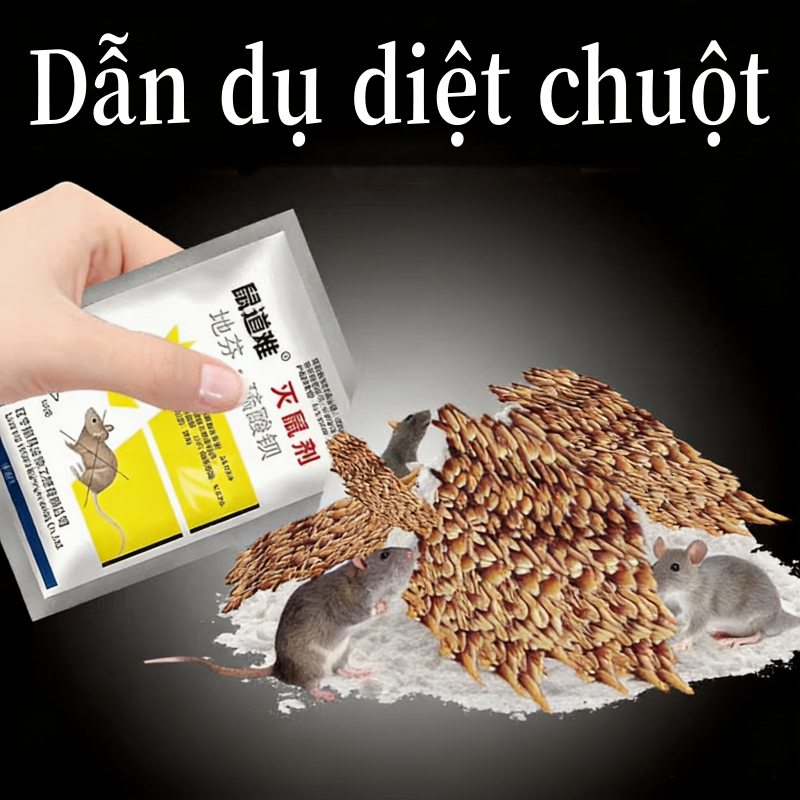 Dẫn dụ diệt chuột diệt chuột diệt chuột giết chuột đuổi chuột diệt chuột đuổi chuột trong nhà