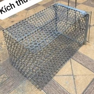 lồng bẫy mèo động vật hoang cỡ lớn