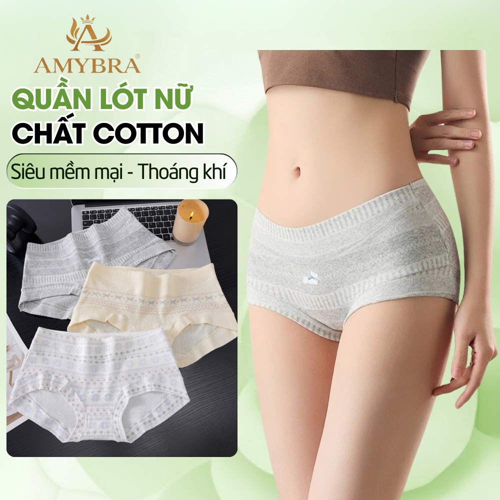[ Mẫu Mới 2026 ] Quần Lót chất cotton Siêu Mềm Mại thoáng khí, Quần Chip nữ đáy kháng khuẩn chuẩn 10