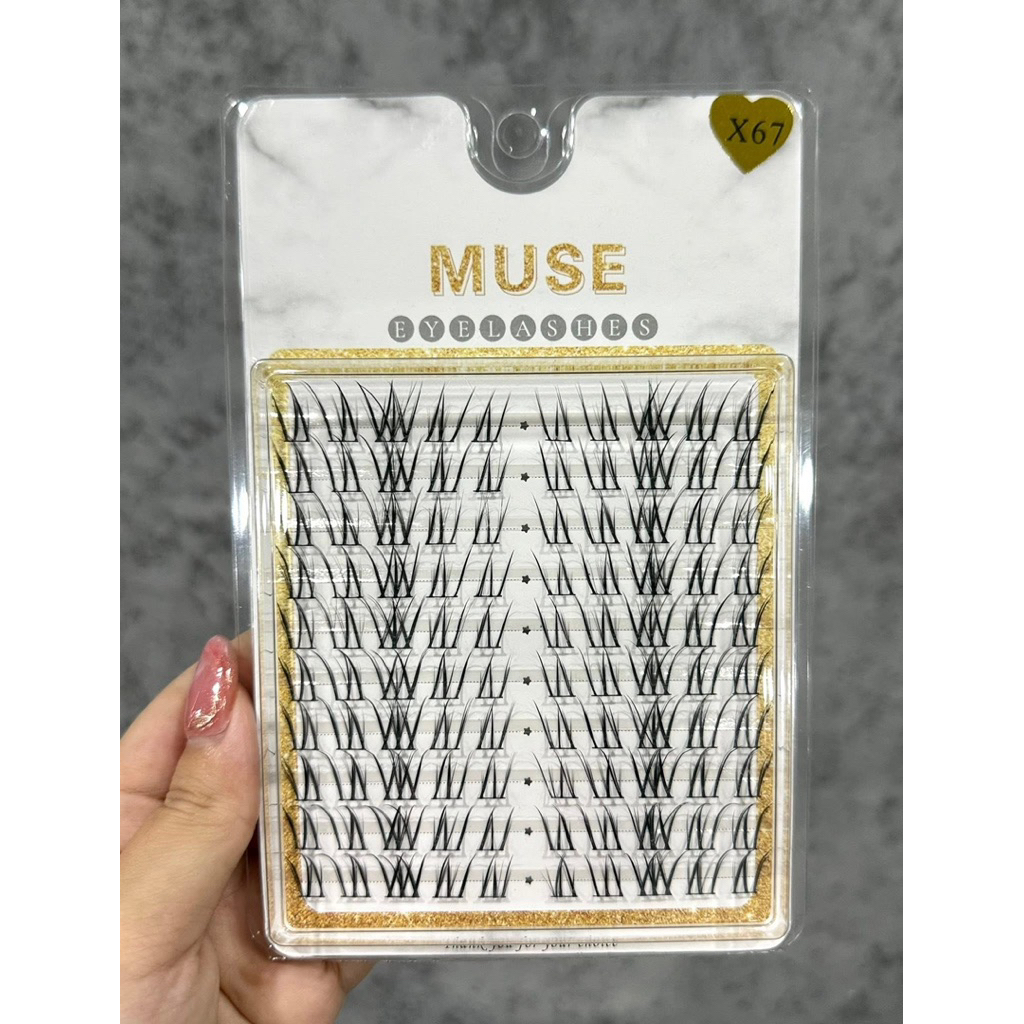 Mi trên X67 + Mi dưới X79 Sự kết hợp hoàn hảo - Mi cong | LiAn Mi Shop