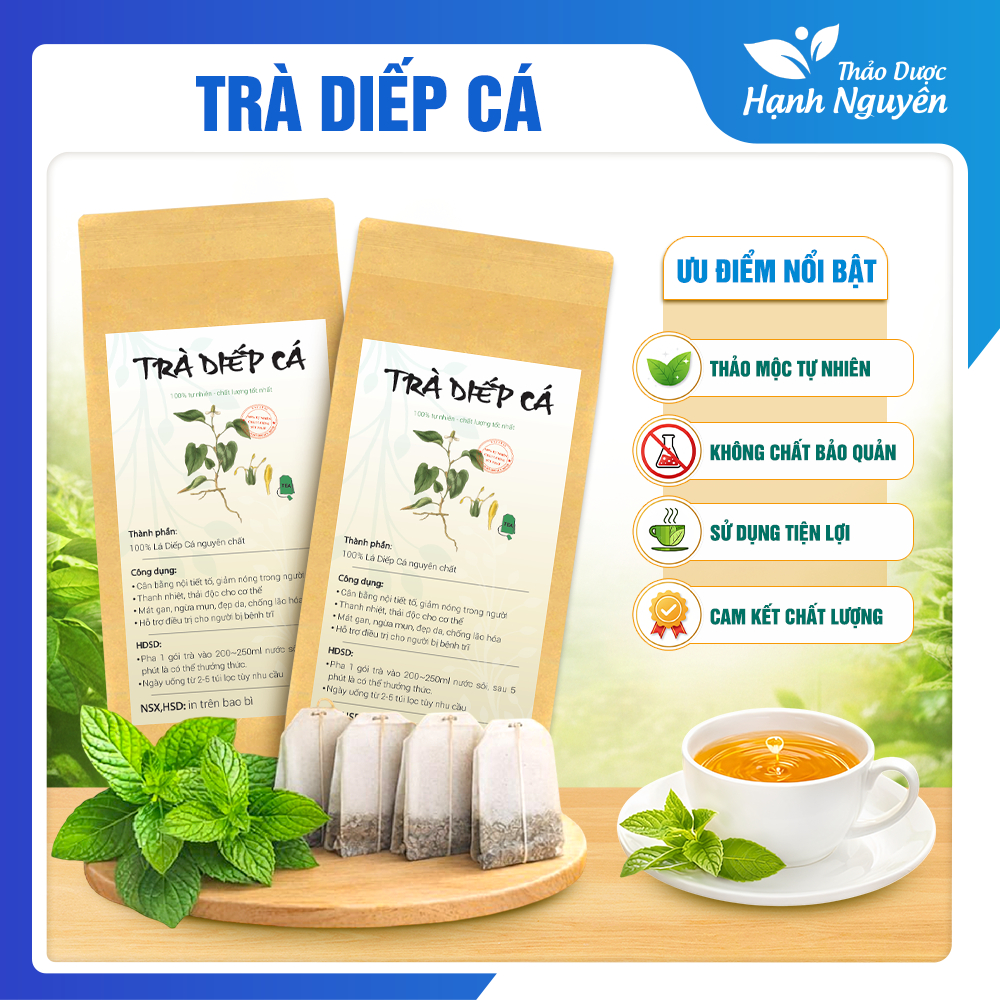 Trà diếp cá túi lọc, thanh nhiệt, thanh lọc cơ thể, tốt cho sức khỏe
