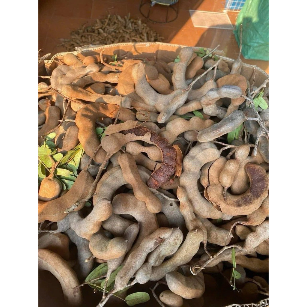 Me ngọt Sơn  La  ngot 6-7 phan chín tự nhiên - me ăn vặt, me chấm muối ớt