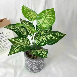 Cây giả - cây lá đốm 30cm/40cm