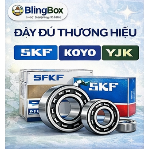 Vòng bi bạc đạn SKF 6206 6207 6208 6209 6210, Hàng xịn thuỵ điển