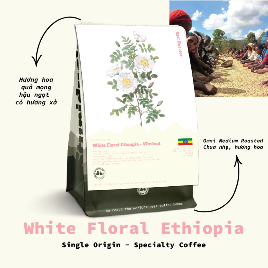 Cà Phê Ethiopia White Floral Gedeb Zone Heirloom Washed Grade 1 - Stupiducks Specialty Coffee