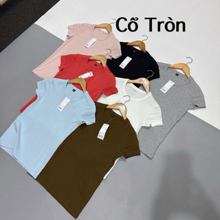 Áo pull cotton dẻo CỔ TRÒN nhiều màu