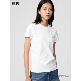 Áo pull cotton dẻo CỔ TRÒN nhiều màu