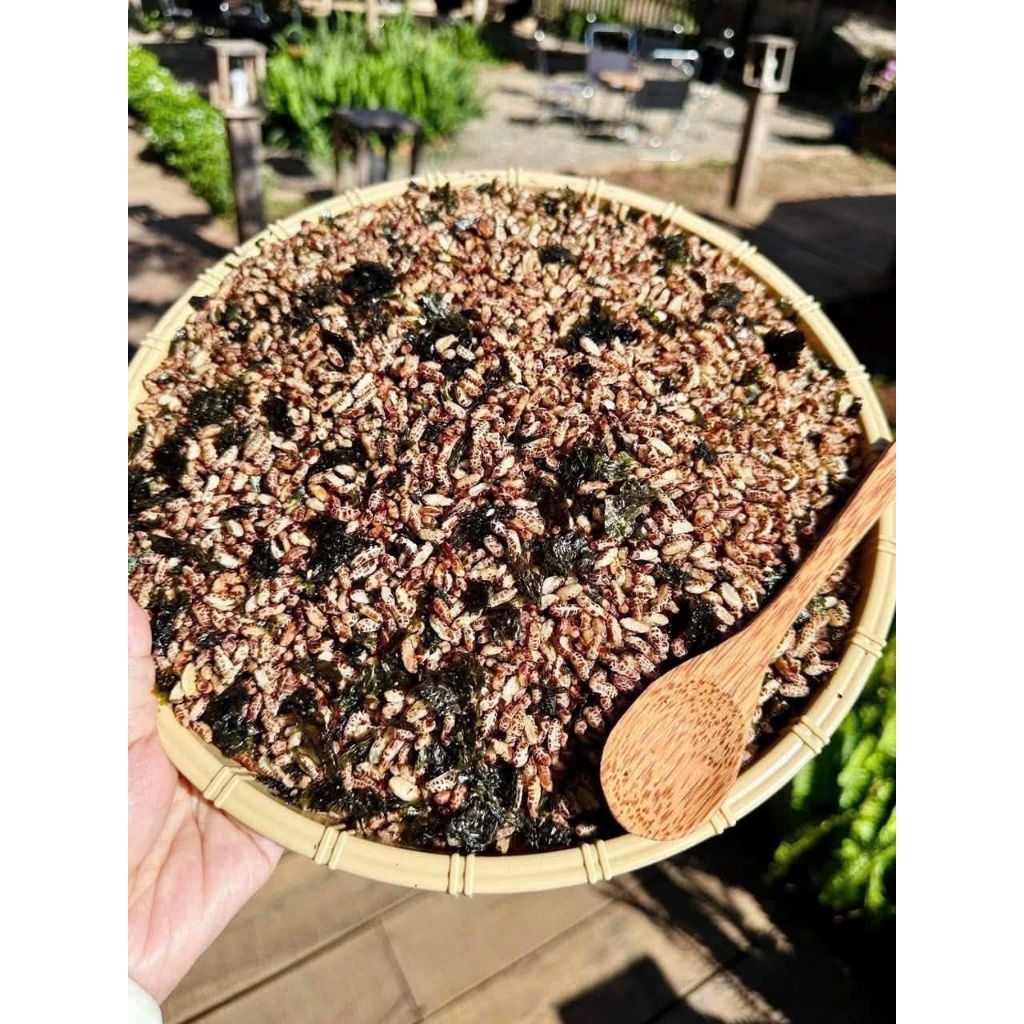 1 kg snack lộn xộn(250g bắp+250g gạo lức+250g sò thường+250g sò hành)