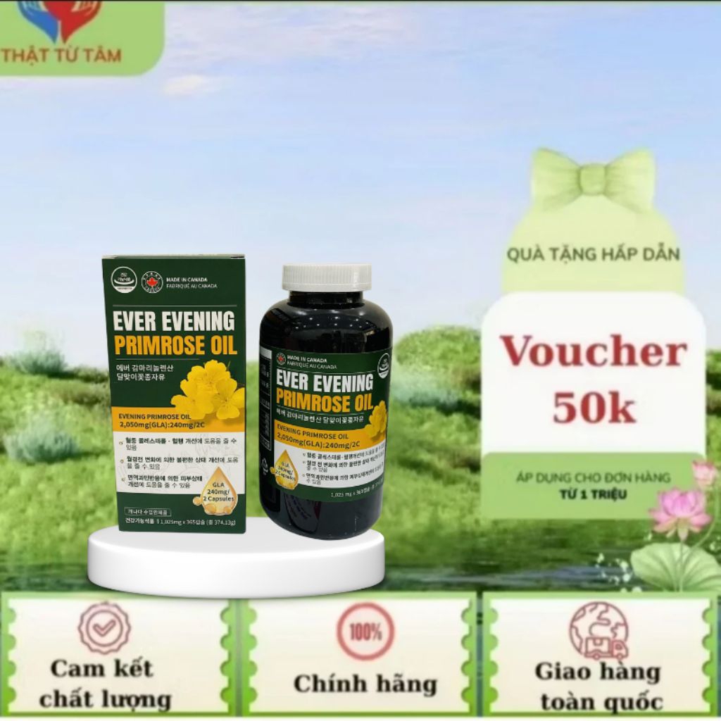 Viên uống tinh dầu hoa anh thảo Ever Evening Primrose Oil 365 viên Hàn Quốc