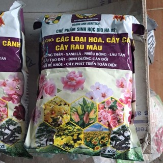 phân hữu cơ vi sinh, trùn quế nén