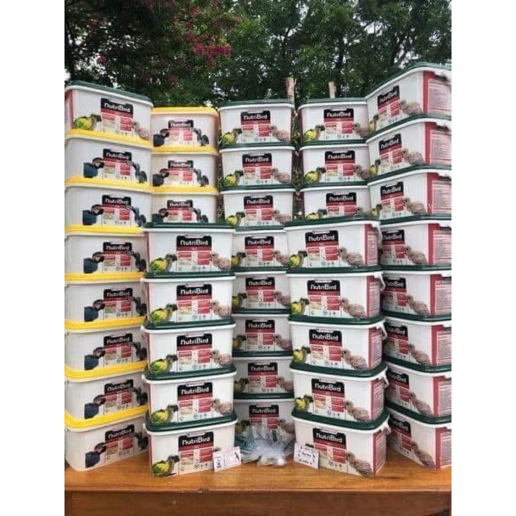 Vỏ hộp bột a21 , a19 ( lưu ý hộp ko )