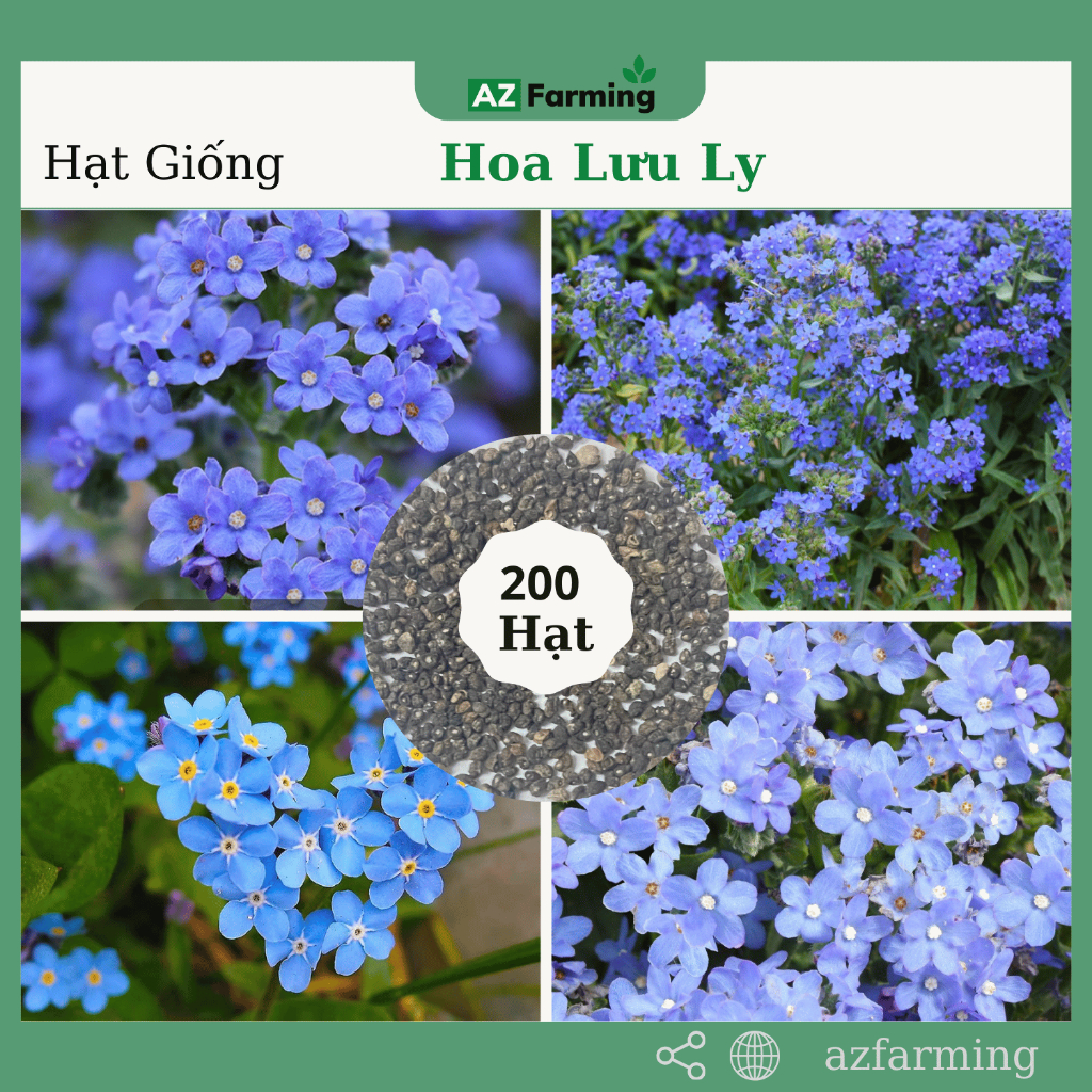 Hạt Giống Hoa Lưu Ly - Gói 200 Hạt - AZ Farming