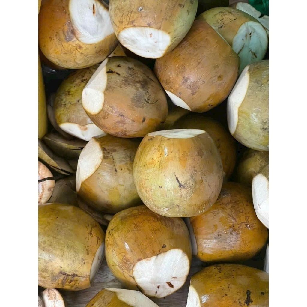 10 tặng 2 dừa xiêm