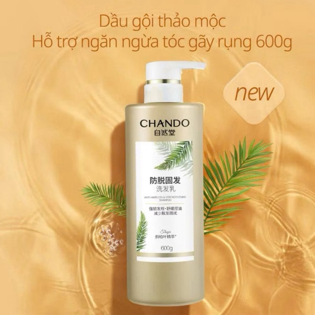 [Chando Himalaya] Dầu gội thảo mộc hỗ trợ ngừa rụng tóc 600g Chando Himalaya