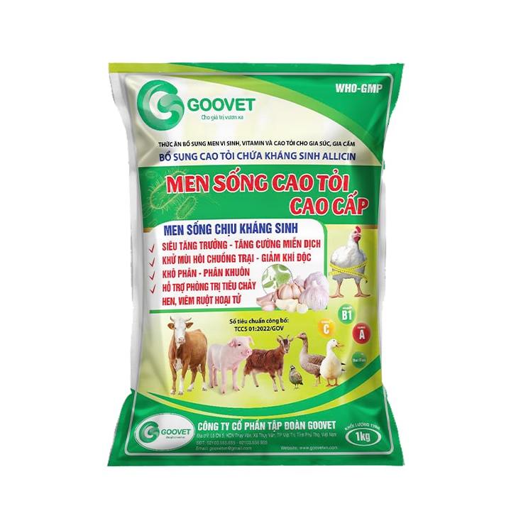 Men sống cao tỏi cao cấp