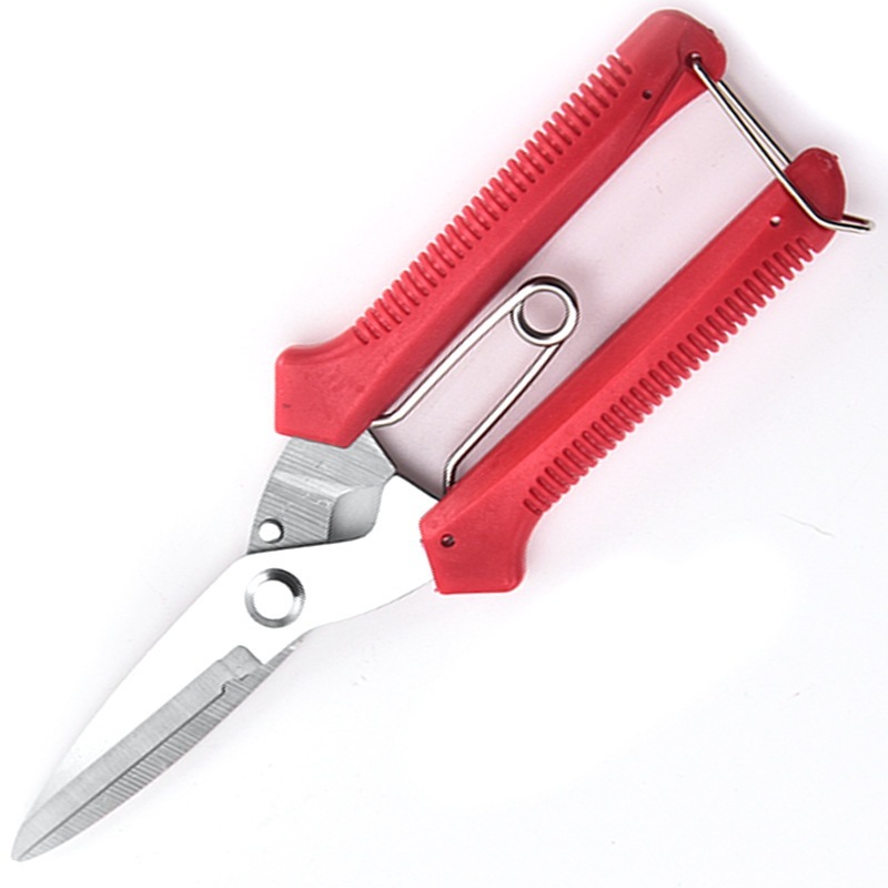 Kéo Đa Năng SAGAWA Bằng Thép Trắng Không Rỉ Cắt Cành Cây Dây Điện Kim Loại Kích Thước 19CM
