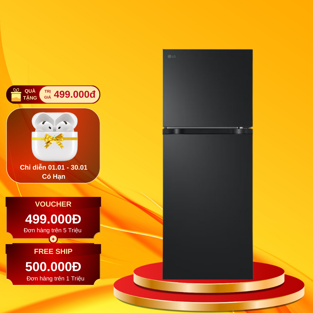 Tủ Lạnh LG Inverter 217 Lít LTB21BLMI - Bảo Hành 12 Tháng