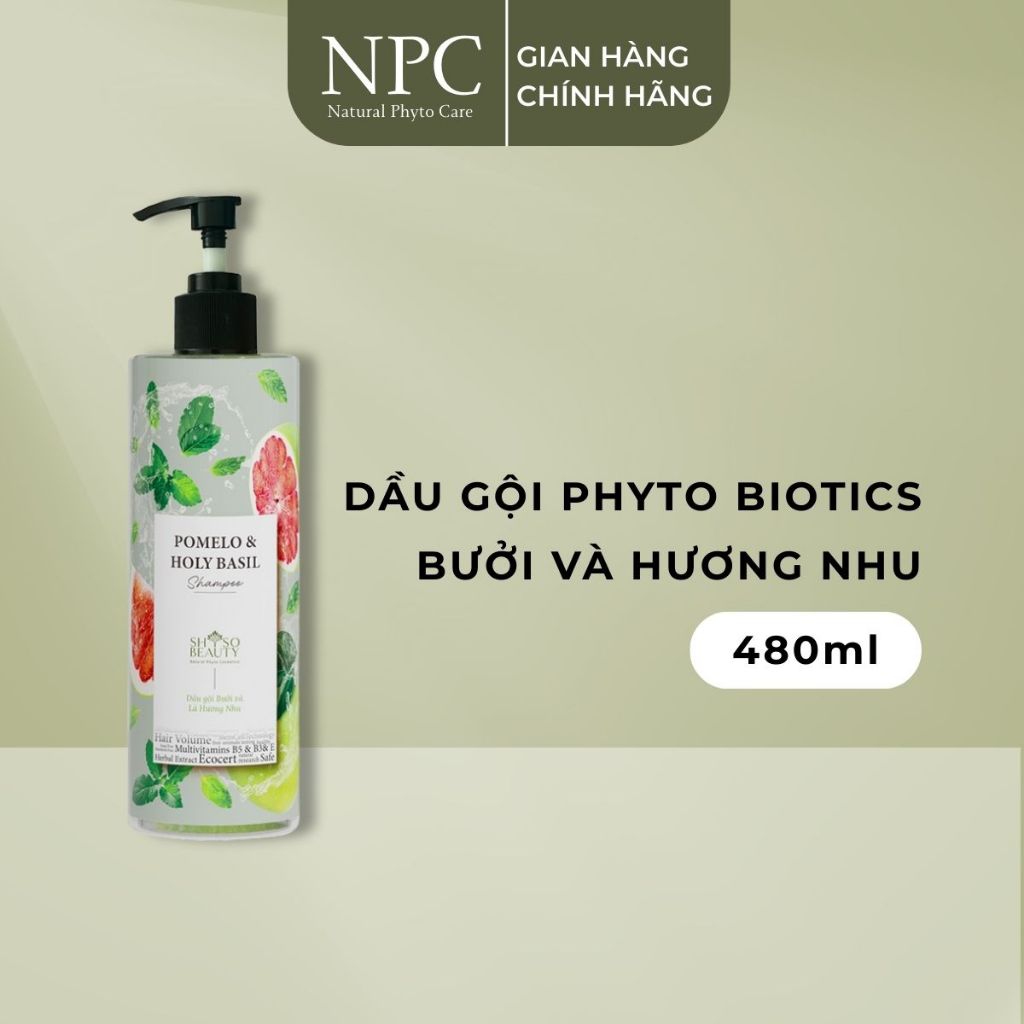 Dầu Gội Phyto Biotics Bưởi và Hương Nhu giúp giảm gãy rụng tóc - NPC PHAR