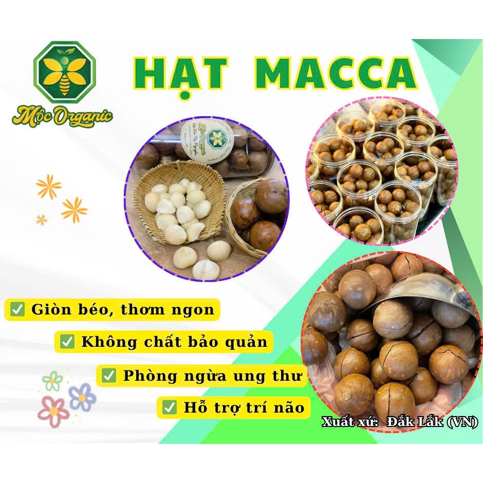 Hạt Macca Sấy (Có Vỏ)  - Mộc Organic