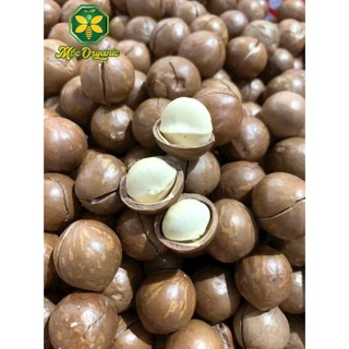 Hạt Macca Sấy (Có Vỏ)  - Mộc Organic