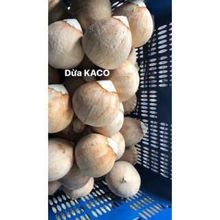 Dừa xiêm xanh gọt trọc KA CO ko tẩy,combo 10 trái size 700-800gr