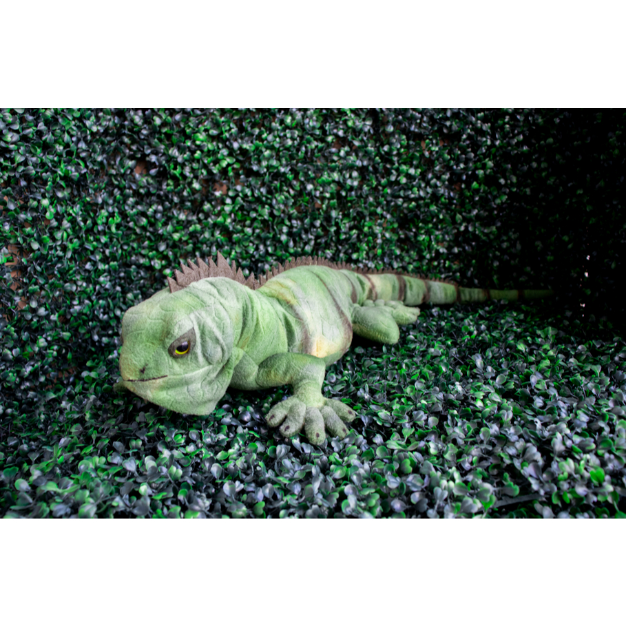 BE MY - THÚ NHỒI BÔNG MÔ PHỎNG KỲ ĐÀ NAM MỸ - IGUANA - 28 INCHES
