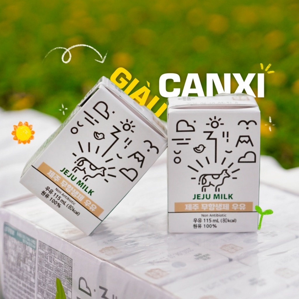 Sữa tươi chuẩn Không kh.Sinh Jeju Milk 115ml Hàn Quốc