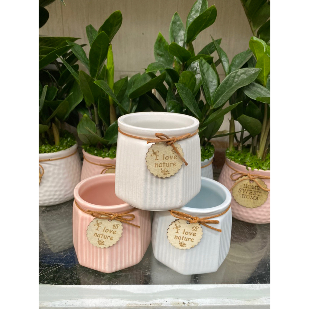 Chậu sứ nơ Ilove nature size nhỏ mẫu ngẫu nhiên