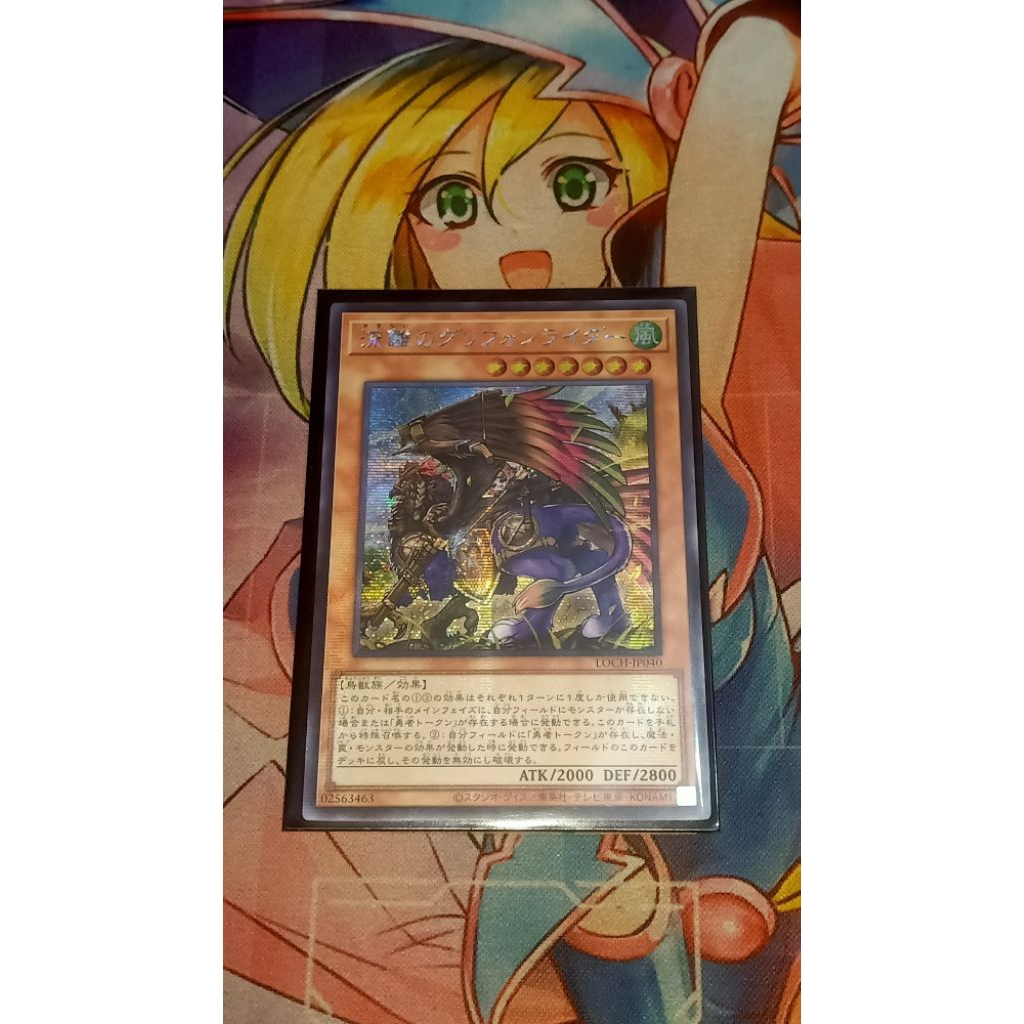 Wandering gryphon rider