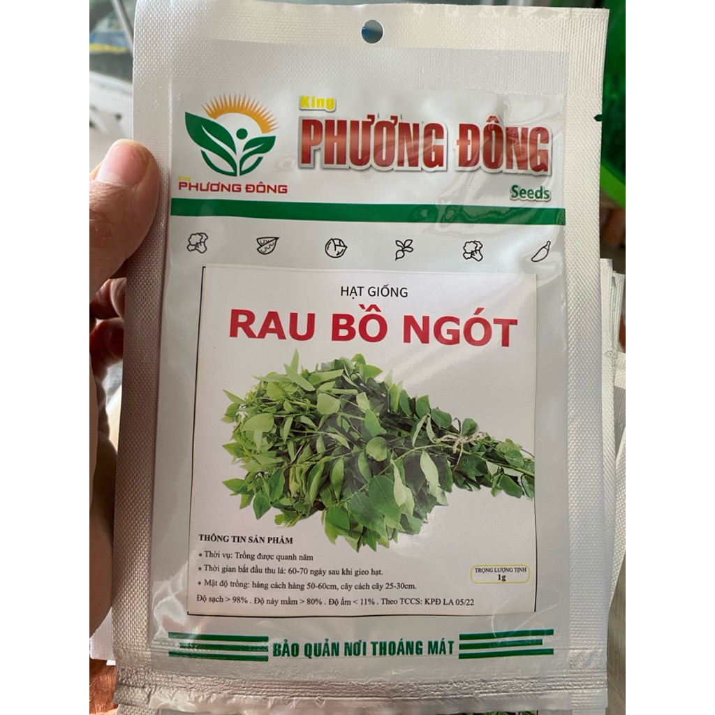 HẠT GIỐNG RAU BỒ NGÓT ( 1gram)