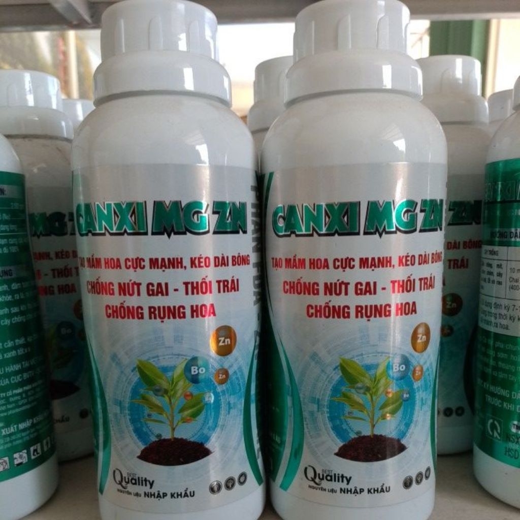 CANXI MAGIE KẼM - TẠO MẦM HOA, KÉO DÀI BÔNG