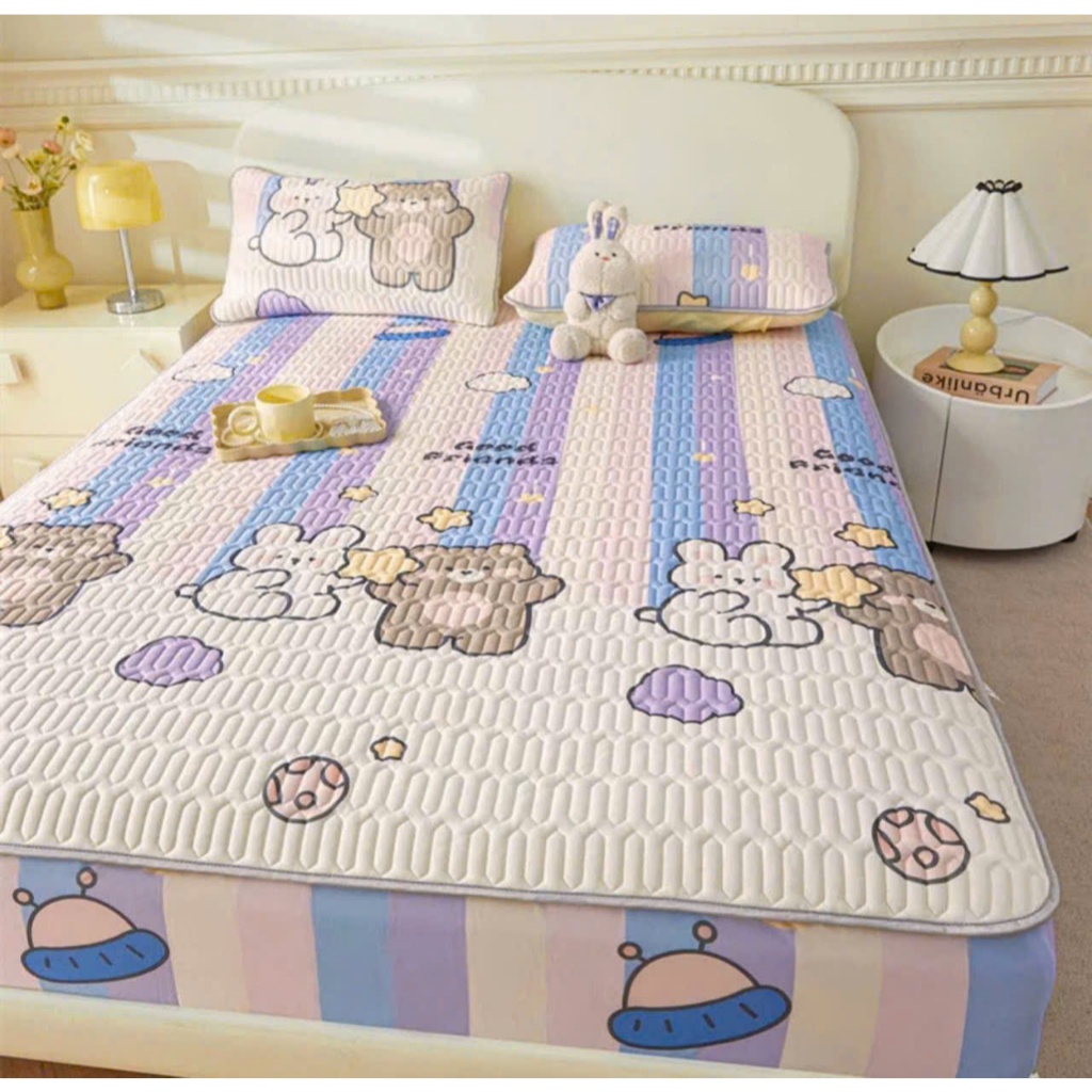 Chiếu điều hòa 1mx2m 1m4x2m 2mx2m2  Tencel 5D siêu mát công nghệ cao tencel 5D kèm Vỏ Gối