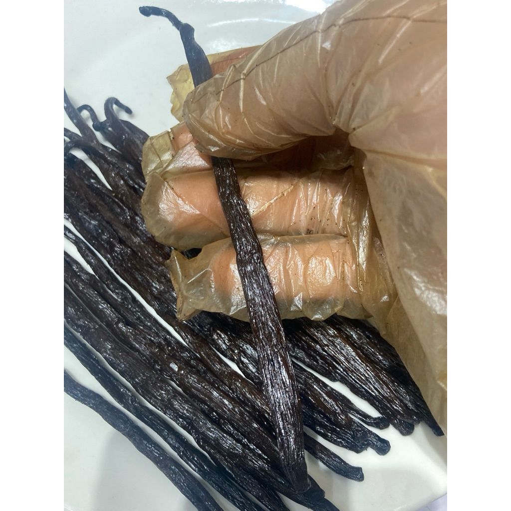 Quả vanilla bourbon Madagascar nguyên trái 15-16cm , loại Gourmet (2.4-3gr) ,thơm đậm chuẩn làm bánh