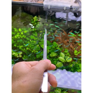 Nhíp cắm cây thuỷ sinh chất liệu inox Jusuo tiện lợi khi trồng cây thuỷ sinh