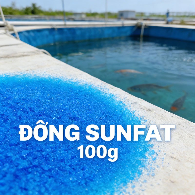 Hóa chất CuSO4 đồng sulfate 500g  sulfate đồng sunphat tinh khiết CuSO4.5H2O