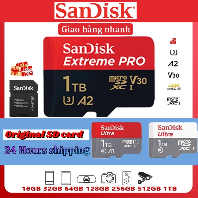 SanDisk Ultra High-Speed SD Card 16GB–1TB Fast Transfer for Photos & Videos