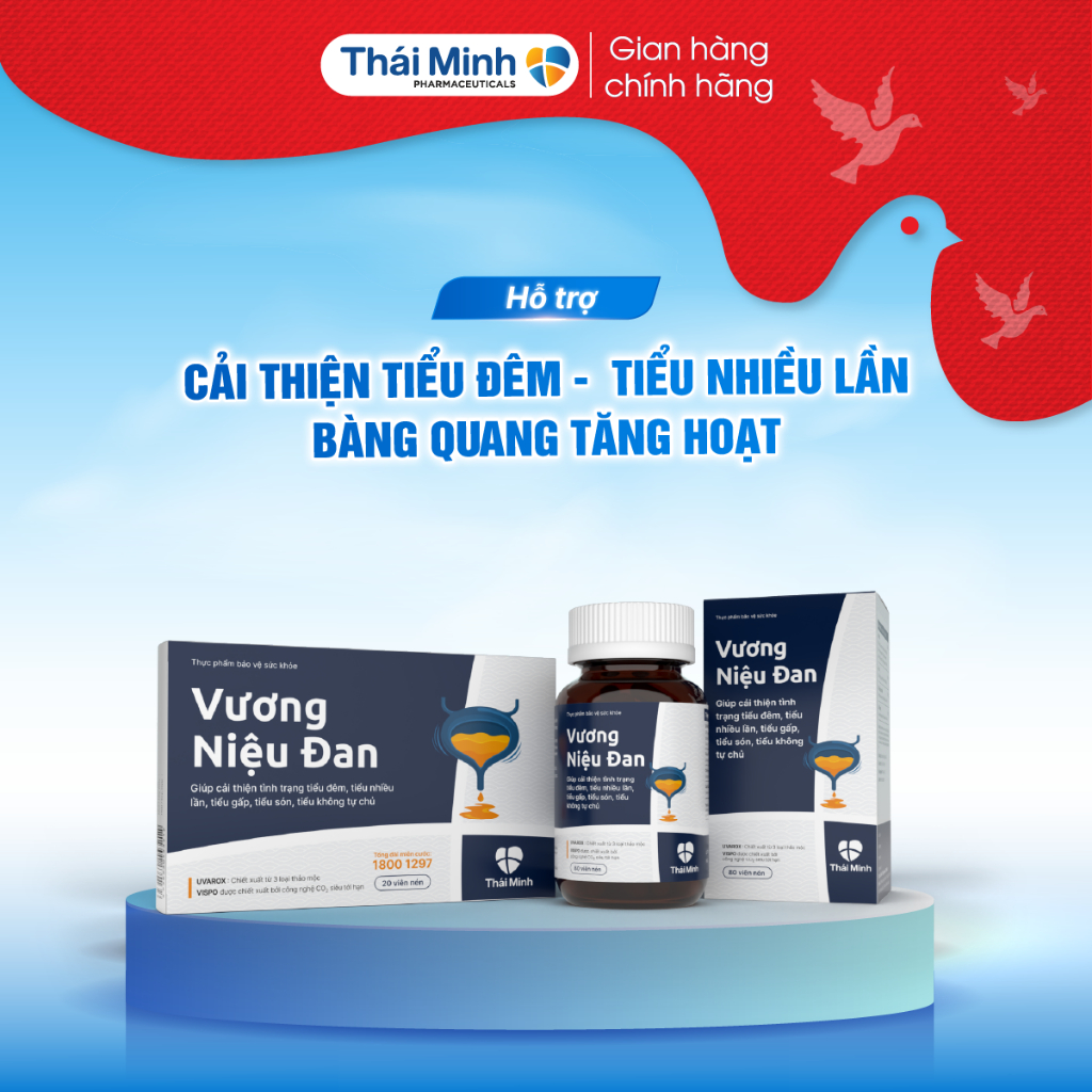 Vương Niệu Đan Thái Minh - Hỗ trợ cho người tiểu đêm, tiểu nhiều, tiểu són, bàng quang tăng hoạt - H