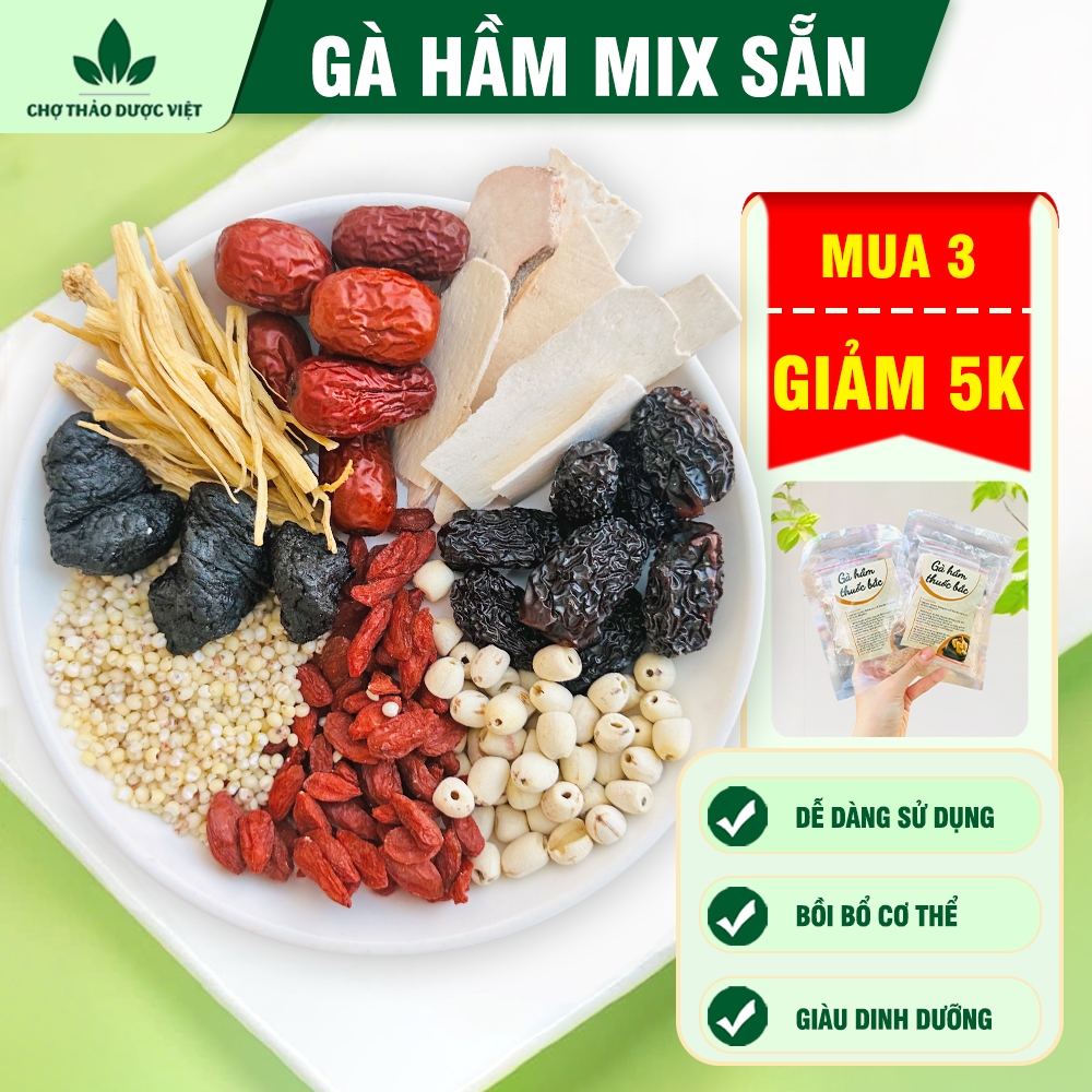 Gói gà hầm mix sẵn, gia vị tiềm gà, nhiều set tự chọn, hầm nấm, chim câu, chân giò thơm ngon, bổ dưỡng