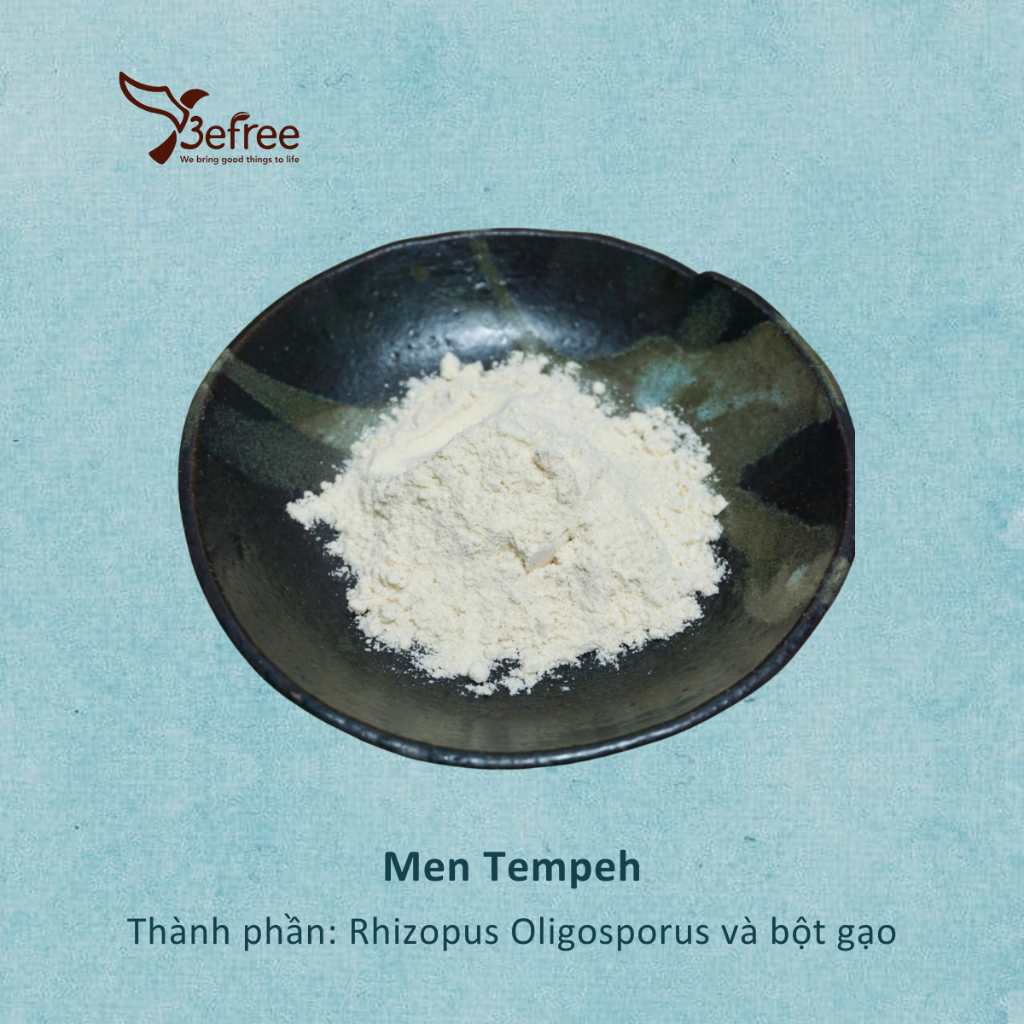 Men Làm Tempeh (Tempeh Starter) - Be Free - 100g