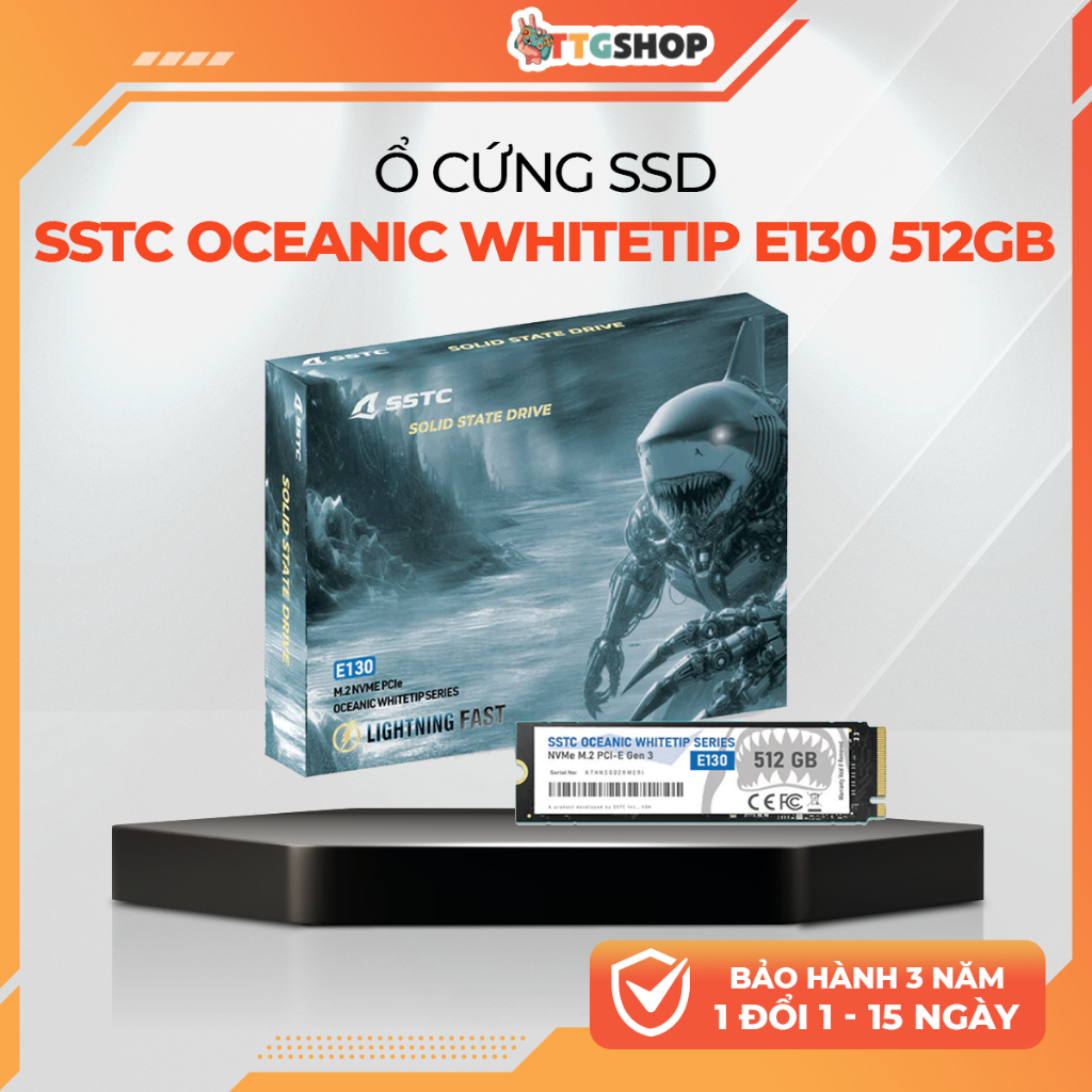 SSD NVMe SSTC Whitetip E130 512GB M.2 2280 PCIe Gen3x4 Read 3200MB/s TBW 300 BH 36T