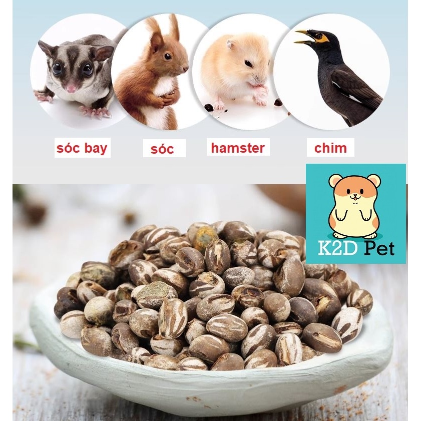 A31 Nhộng Mật Ong Tươi, Trứng Bọ Đất Hải Sâm, thức ăn dặm, Nhộng cho Hamster, Sóc, Nhím, bò sát ...