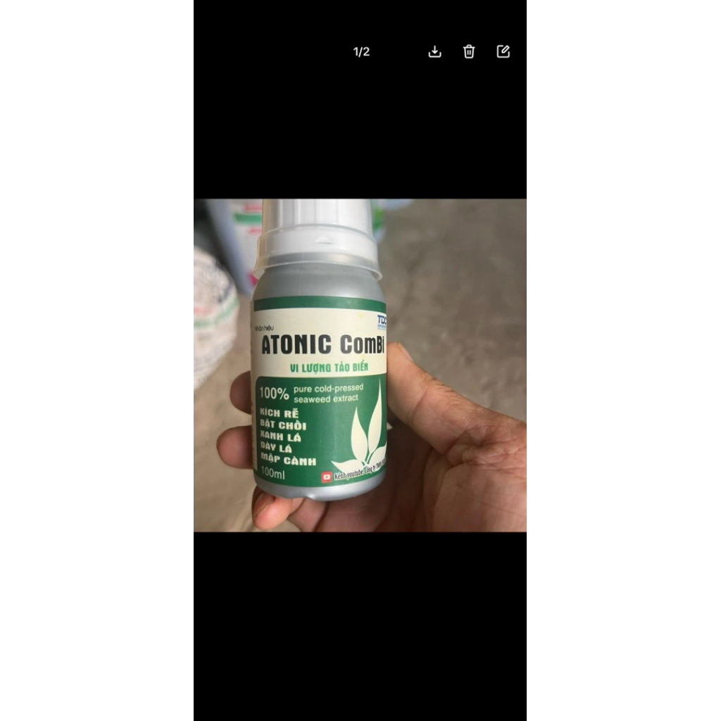 atonic compi -làm đọt cực nhanh