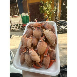 Càng cua bóc vỏ -250gr ( giao nhanh HCM)