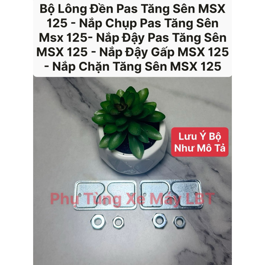 Bộ Lông Đền Pas Tăng Sên MSX 125 - Nắp Chụp Pas Tăng Sên Msx 125- Nắp Đậy Pas Tăng Sên MSX 125 - Nắp