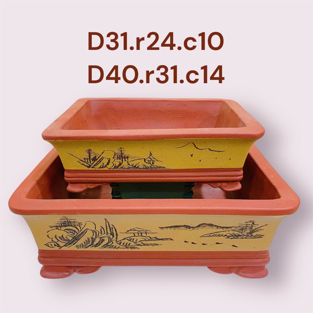 Chậu gốm Tàu trồng cây cảnh bonsai