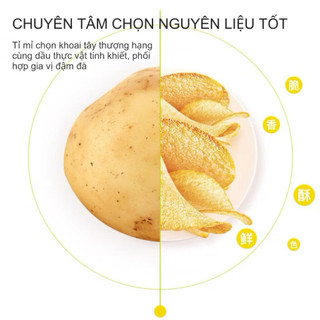 KHOAI TÂY ỐNG COPICO 45G