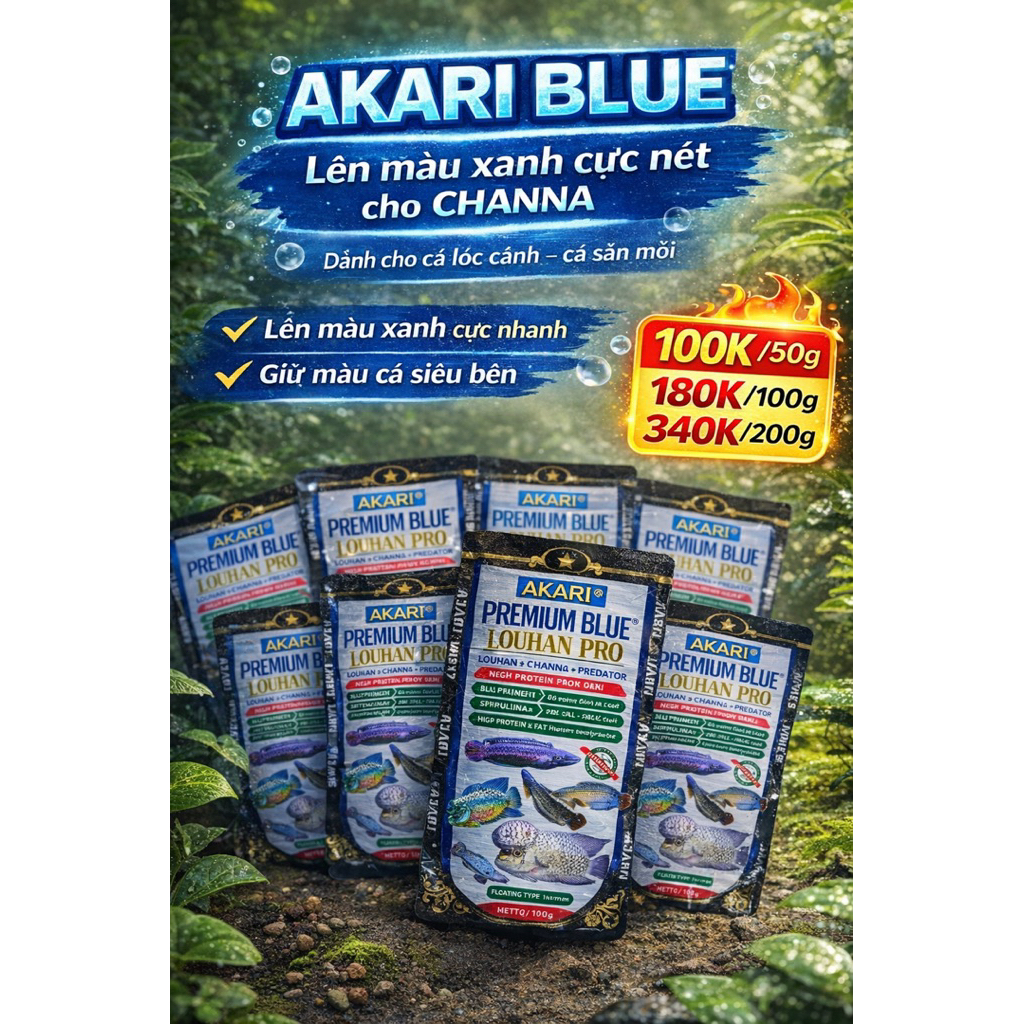 Cám Akari Blue ( Cám Cá Lóc , Săn Mồi ) Cám Kick Màu Cá Săn Mồi