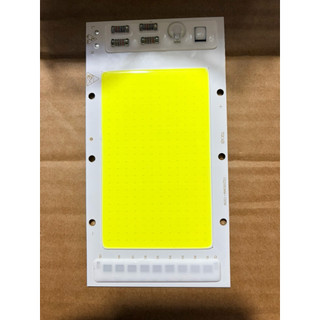 Nhân chip đèn led 220V-100W kích thước 15x8