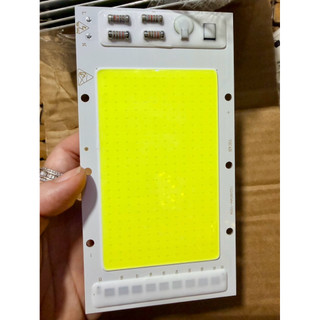 Nhân chip đèn led 220V-100W kích thước 15x8